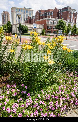 Virginia Portsmouth High Street Blumen Landschaftsgestaltung Innenstadt Design, Stockfoto