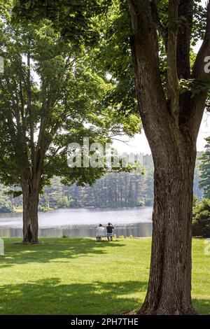 Pennsylvania Appalachian Mountains Pocono Mountains White Mills, Dorflinger Suydam Wildlife Sanctuary Delaware River Trees, Stockfoto