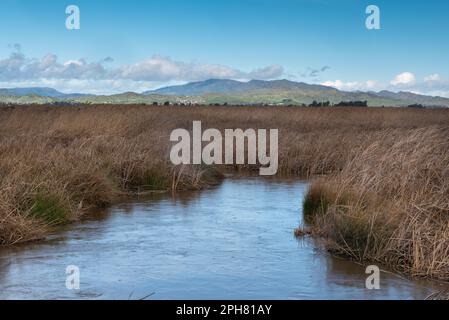 Black Marsh slough entlang der Grizzly Island Road auf blauem Himmel gibt es jede Menge Sky Copy-Space Fairfield, Kalifornien, USA, die Berge in der Stockfoto