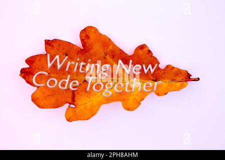 Herbstlaub, Objekte, die neuen Code zusammen schreiben. Natürliche Muster, Farbdesign. Stockfoto