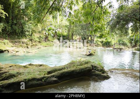 Ein idyllisches Wasserbecken an den Cambugahay Wasserfällen in Siquijor auf den Philippinen, umgeben von einem lichtdurchfluteten Regenwald. Stockfoto