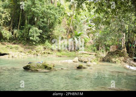 Ein idyllisches Wasserbecken an den Cambugahay Wasserfällen in Siquijor auf den Philippinen, umgeben von einem lichtdurchfluteten Regenwald. Stockfoto