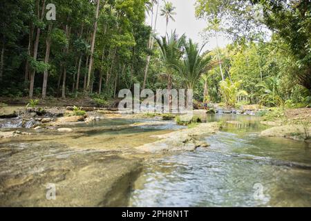 Ein idyllisches Wasserbecken an den Cambugahay Wasserfällen in Siquijor auf den Philippinen, umgeben von einem lichtdurchfluteten Regenwald. Stockfoto