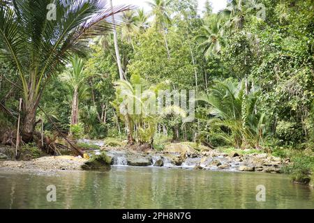 Ein idyllisches Wasserbecken an den Cambugahay Wasserfällen in Siquijor auf den Philippinen, umgeben von einem lichtdurchfluteten Regenwald. Stockfoto