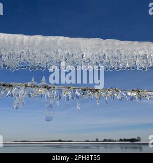 Eiszeit... Eiszapfen auf einem Drahtzaun ( Winterflut 2020/2021 ) auf Bislicher Island. Stockfoto