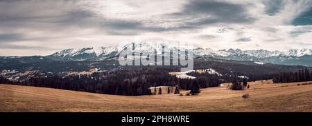 Blick auf das Panorama der Tatra vom Łapszanka-Pass. Frühling. Schneebedeckte Gipfel der Tatra, schmelzender Schnee in der Vergangenheit der Berge Stockfoto