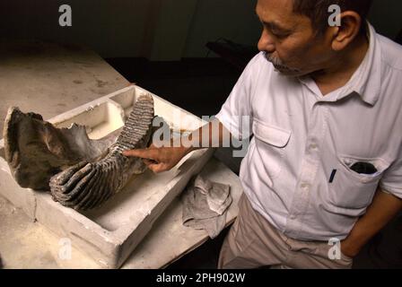 Fachroel Aziz, Professor für paläontologische Wirbeltierforschung, wird im Büro von Vertebrate Research, Geological Agency, Indonesian Ministry of Energy and Mineral Resources fotografiert, das seinen Sitz in Bandung, West Java, Indonesien hat. Stockfoto