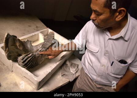 Fachroel Aziz, Professor für paläontologische Wirbeltierforschung, wird im Büro von Vertebrate Research, Geological Agency, Indonesian Ministry of Energy and Mineral Resources fotografiert, das seinen Sitz in Bandung, West Java, Indonesien hat. Stockfoto