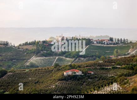 Haselnusshaine im Gebiet von Albaretto della Torre in Piemont, Italien Stockfoto