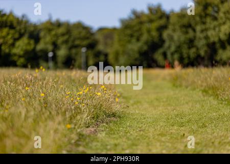 Corby, Northamptonshire - Fotografie In Der Umgebung Stockfoto