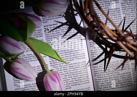 Nahaufnahme Dornenkrone und Tulpen in offener Bibel Stockfoto