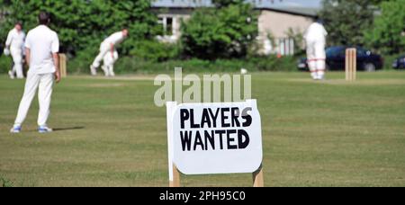 Dorfgrünes, wetteiferndes Amatuer-Kricket-Spiel im Sommer läuft und Werbeschild für Spieler gesucht Navestock Brentwood Essex England UK Stockfoto