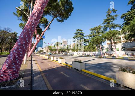 Tirana, Albanien. März 2023. Blick auf die mit rosafarbenen Stoffen bedeckten Bäume entlang des Boulevard Deshmoret e Kombit im Stadtzentrum Stockfoto