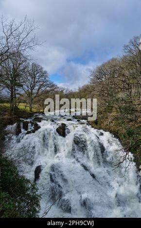 Swallow Falls, Betws-y-Coed, Conwy, Snowdonia, Wales Stockfoto