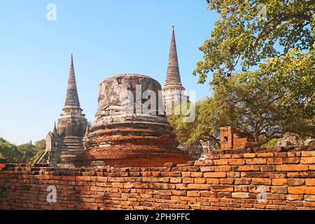 Atemberaubende Pagodenruinen von Wat Phra Si Sanphet, von außen gesehen vom archäologischen Komplex, Ayutthaya Historical Park, Thailand Stockfoto