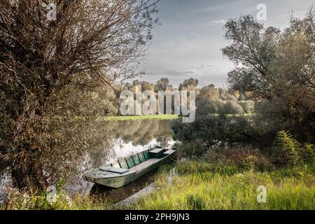 Bild eines verlassenen Ruderboots in blauer Farbe am Ufer des timis in Jabuka, Serbien, während eines sonnigen Sonnenuntergangs. Stockfoto