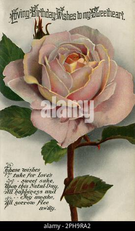 Eine antike Geburtstagskarte von 1920. Attraktive Karte mit einer rosafarbenen Rose mit dem Titel „Loving Birthday wishes to my Sweetheart“ und mit dem Vers „These wishes take for Love's sweet Sake, on this Natal-Day, All happiness and joy awake, All Sorrow fleve away“. Stockfoto