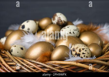 Viele Gold- und Wachteleier im Nest, Nahaufnahme Stockfoto