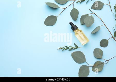 Flasche mit ätherischem Eukalyptusöl und Pflanzenzweigen auf hellblauem Hintergrund, flach liegend. Platz für Text Stockfoto