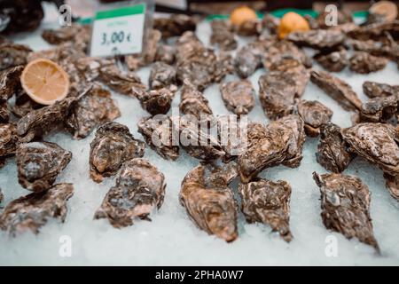 Austern liegen auf dem Ladentisch auf Eis. Austern zum Verkauf auf dem Fischmarkt. Frische Austern selektiver Fokus. Nahaufnahme. Stockfoto