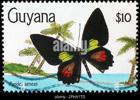 Wunderschöner Schmetterling auf Briefmarken aus Guyana Stockfoto