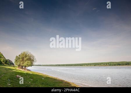 Panorama der Donau in Serbien mit Bäumen während eines sonnigen Sommernachmittags in Slankam, Serbien. Die Donau ist Europas zweitlängster Fluss. ICH Stockfoto