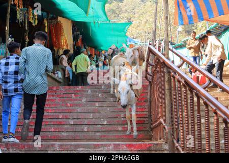 Dezember 24 2022 - Pavagadh, Gujarat in Indien: Geschäftiges Treiben im Pavagadh-Tempel Stockfoto