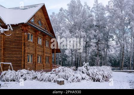 Ein großes Holzhaus in der Nähe von Büschen und Birken, bedeckt mit weißem Schnee in Altai in Sibirien im Herbst Stockfoto