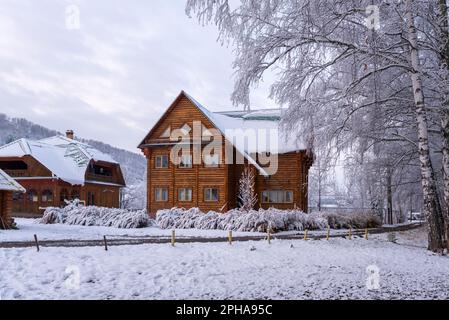 Ein großes Holzhaus in einem Dorf in der Nähe von Büschen und Birken, bedeckt mit weißem Schnee in Altai in Sibirien im Herbst Stockfoto