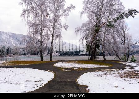 Pfad am Flussufer mit Birkenbäumen unter dem Schnee im Herbst in Altai in Sibirien. Stockfoto