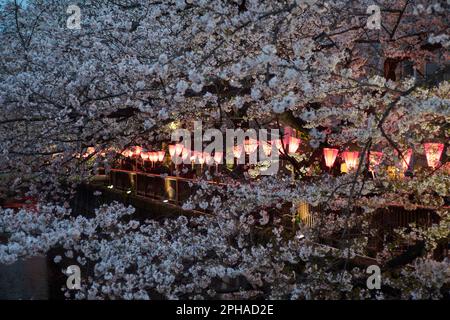 Tokio. 27. März 2023. Dieses Foto wurde am 27. März 2023 aufgenommen und zeigt Kirschblüten entlang des Meguro River in Tokio, Japan. Kredit: Zhang Xiaoyu/Xinhua/Alamy Live News Stockfoto