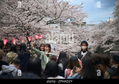 Tokio, Japan. 27. März 2023. Die Menschen posieren für Fotos mit Kirschblüten am Meguro River in Tokio, Japan, 27. März 2023. Kredit: Zhang Xiaoyu/Xinhua/Alamy Live News Stockfoto
