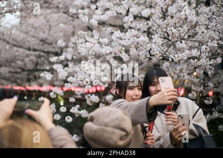 Tokio, Japan. 27. März 2023. Die Menschen machen Selfies mit Kirschblüten am Meguro River in Tokio, Japan, 27. März 2023. Kredit: Zhang Xiaoyu/Xinhua/Alamy Live News Stockfoto