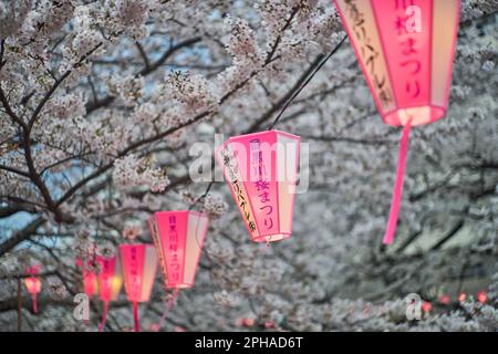 Tokio. 27. März 2023. Dieses Foto wurde am 27. März 2023 aufgenommen und zeigt Kirschblüten entlang des Meguro River in Tokio, Japan. Kredit: Zhang Xiaoyu/Xinhua/Alamy Live News Stockfoto