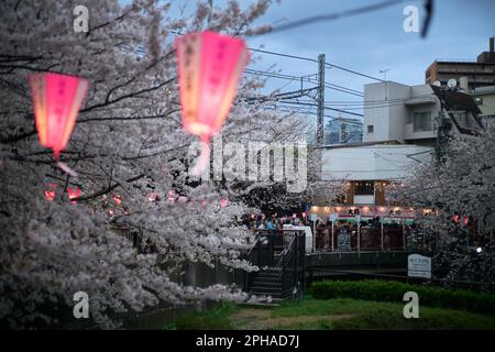 Tokio. 27. März 2023. Dieses Foto wurde am 27. März 2023 aufgenommen und zeigt Kirschblüten entlang des Meguro River in Tokio, Japan. Kredit: Zhang Xiaoyu/Xinhua/Alamy Live News Stockfoto