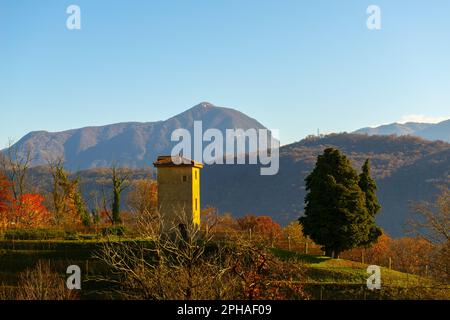 Bergblick über einen Weinberg mit Turm und Sonnenlicht mit klarem Himmel in Lugano, Tessin in der Schweiz. Stockfoto