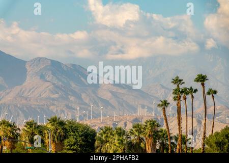 Palmen und Windturbinen auf dem Berg in Palm Springs, Coachella Valley, Califormia Stockfoto