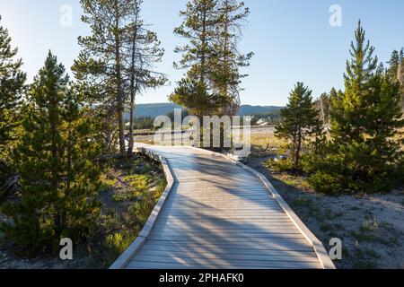 Holzstege in den geothermischen Gebieten des Yellowstone National Park, Wyoming, USA Stockfoto