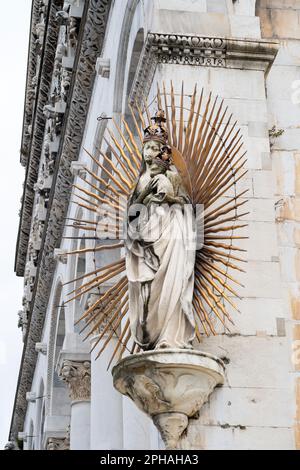 Chiesa di San Michele in Foro in der noch von Mauern umgebenen Stadt Lucca in der Toskana, Italien Stockfoto