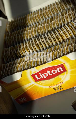 Eine volle Schachtel Lipton Teebeutel, 2023 Stockfoto