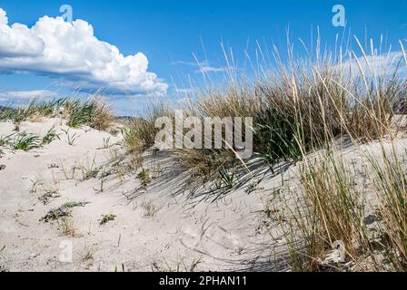 Elafonissi, im Südwesten von Kreta, ist berühmt für seinen rosa Sand und das niedrige türkisfarbene Wasser, wahrscheinlich der beste Strand auf ganz Kreta Stockfoto