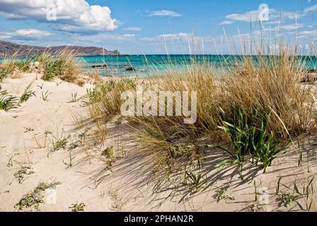 Elafonissi, im Südwesten von Kreta, ist berühmt für seinen rosa Sand und das niedrige türkisfarbene Wasser, wahrscheinlich der beste Strand auf ganz Kreta Stockfoto