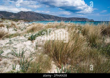 Elafonissi, im Südwesten von Kreta, ist berühmt für seinen rosa Sand und das niedrige türkisfarbene Wasser, wahrscheinlich der beste Strand auf ganz Kreta Stockfoto