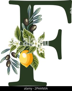 Abbildung: Buchstabe F aus Alphabet mit Zitronen und Olivenzweigen. Perfekte Grafiken für Hochzeitseinladungen, Grußkarten, Logos, Poster und mehr. Stock Vektor