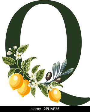 Abbildung des Buchstabens Q aus dem Alphabet mit Zitronen und Olivenzweigen. Perfekte Grafiken für Hochzeitseinladungen, Grußkarten, Logos, Poster und mehr. Stock Vektor