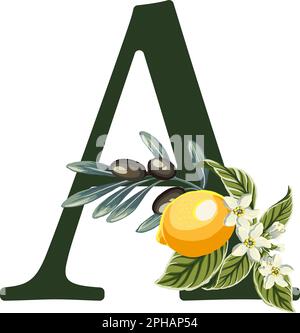 Buchstabe A aus Alphabet mit Zitronen und Olivenzweigen. Perfekte Grafiken für Hochzeitseinladungen, Grußkarten, Logos, Poster und mehr. Stock Vektor