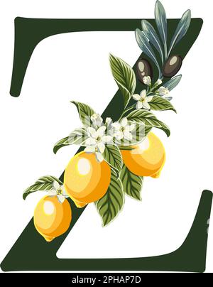 Abbildung des Buchstabens Z aus Alphabet mit Zitronen und Olivenzweigen. Perfekte Grafiken für Hochzeitseinladungen, Grußkarten, Logos, Poster und mehr. Stock Vektor