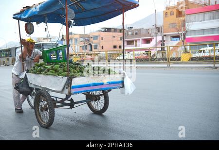 Mobiler Straßenhändler, der Avocado, Aguacate, Palta verkauft. Am Straßenrand befindet sich ein Avocado-Wagen Stockfoto