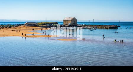 Panoramablick über Elie Beach, mit Urlaubern, die die Sommersonne genießen, zum Elie Hafen im East Neuk of Fife, Schottland, Großbritannien Stockfoto