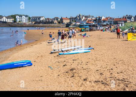 Besucher genießen die Sommersonne am Elie Beach - Elie, East Neuk of Fife, Schottland, Großbritannien Stockfoto